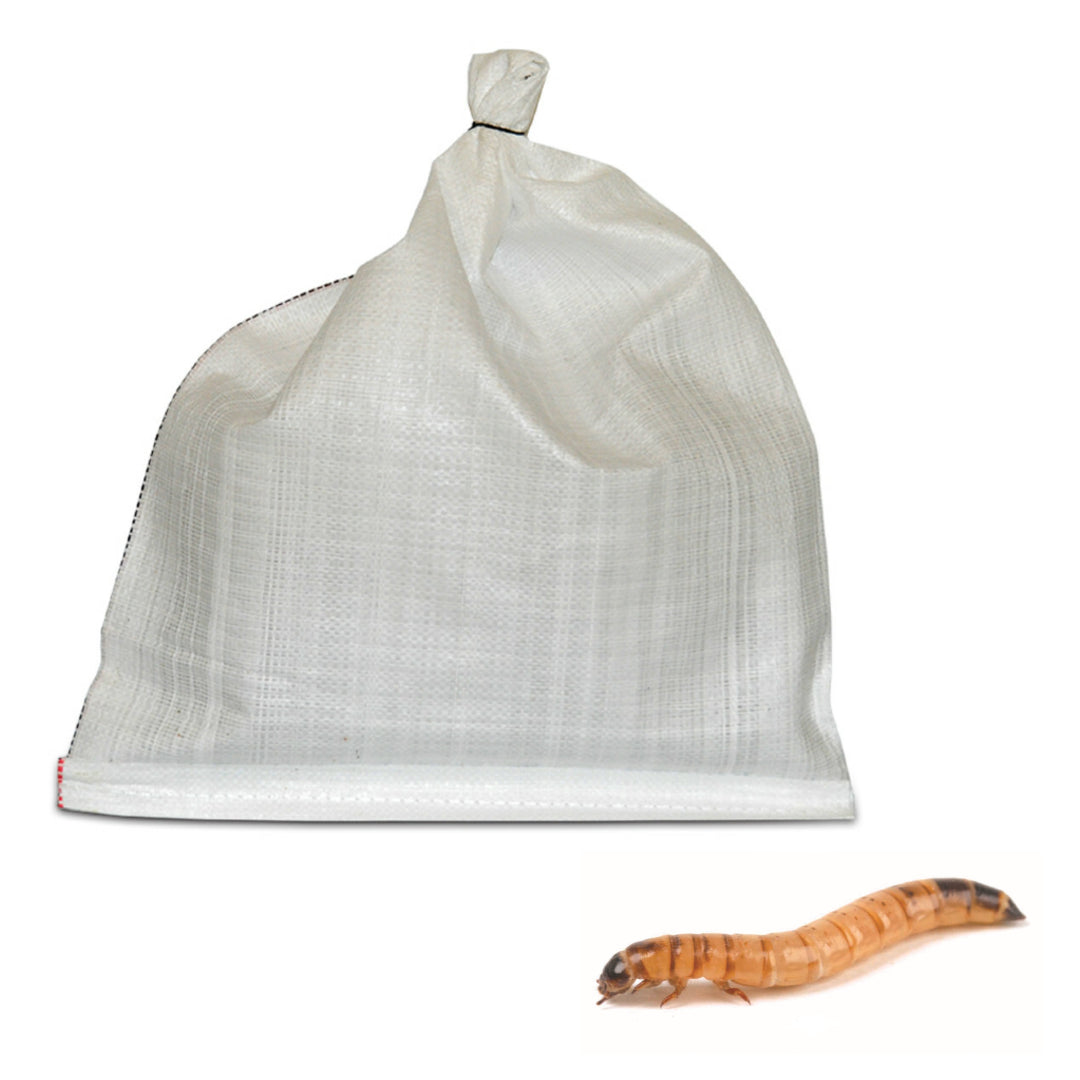 Morio Worm Bulk Pack 500g