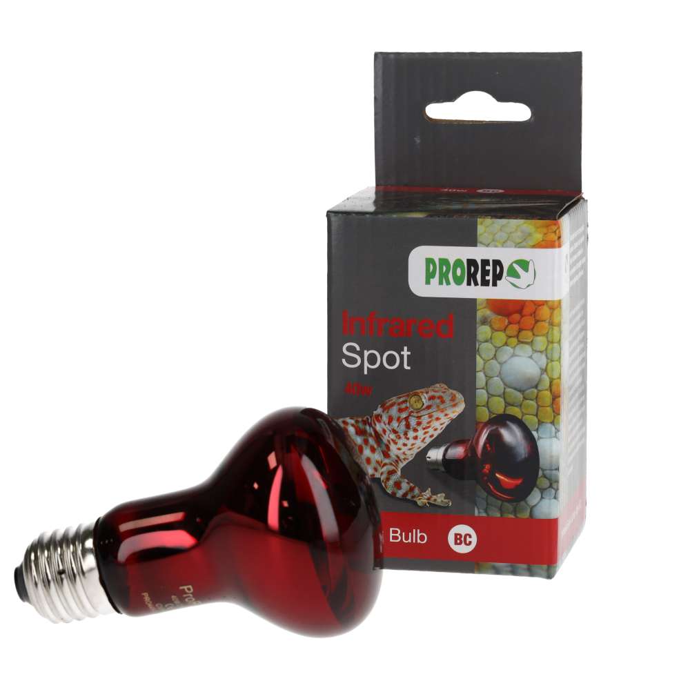 ProRep Red Night Spotlamp 40W BC