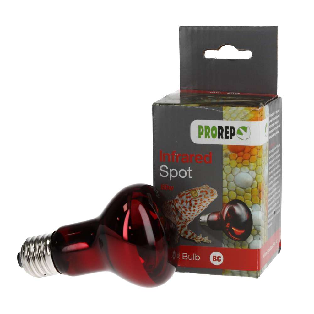 ProRep Red Night Spotlamp 60W BC