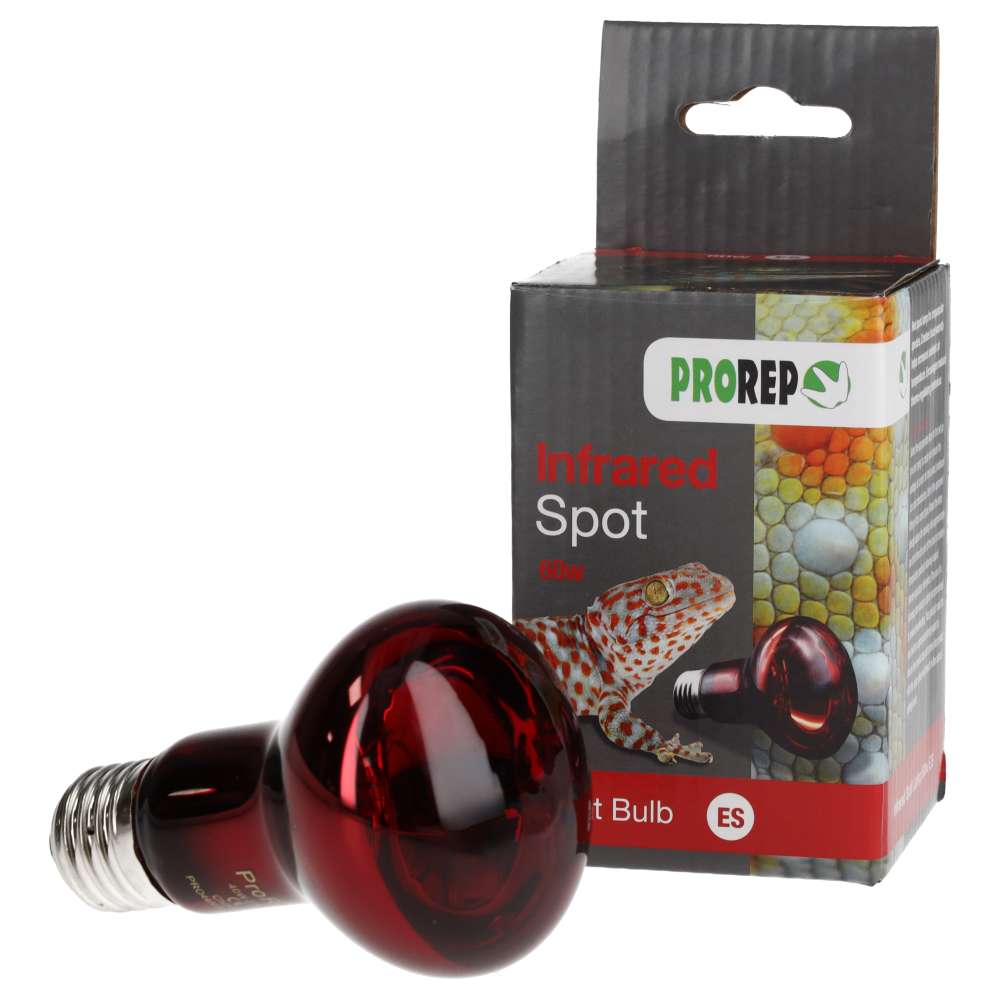 ProRep Red Night Spotlamp 60W ES