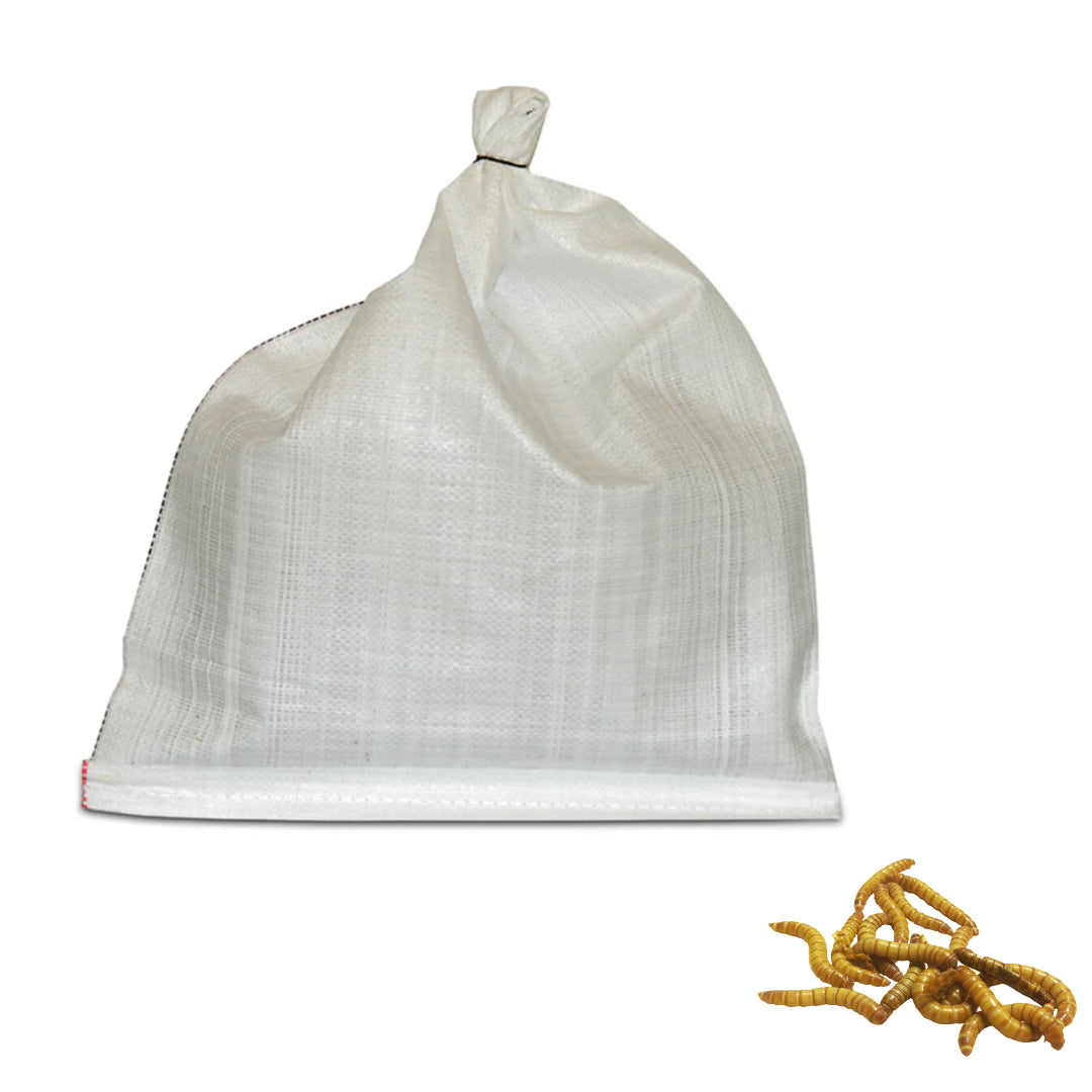 Mealworm Bulk Pack 500g